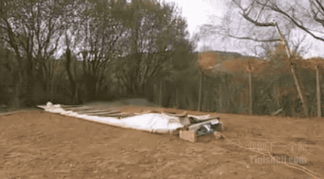 8.gif